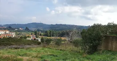 Plot of land in Paliouri, Greece