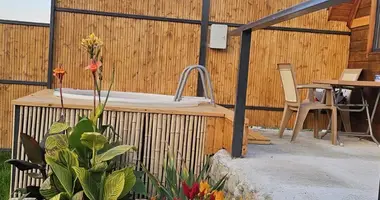 4 bedroom house in Mtskheta, Georgia