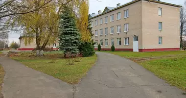 House in Aliesina, Belarus