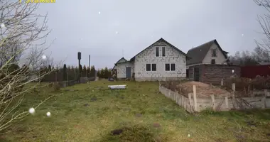 Dom w Piatryskauski sielski Saviet, Białoruś
