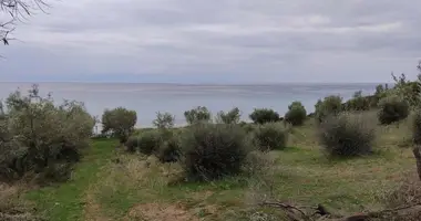 Terrain dans Sozopoli, Grèce