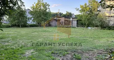 Plot of land in Carnaucycki sielski Saviet, Belarus
