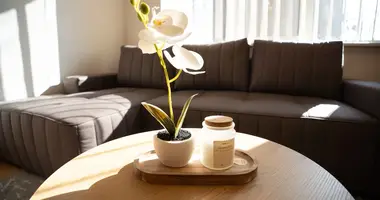 Wohnung 2 zimmer in Kaunas, Litauen