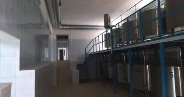 Коммерческое помещение 3 658 м² в Саратов, Россия