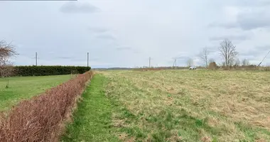 Plot of land in Karsunalaukis, Lithuania