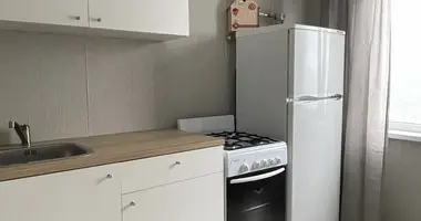 1 bedroom apartment in Minsk, Belarus