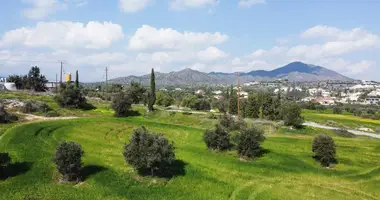 Terrain dans Anglisides, Chypre