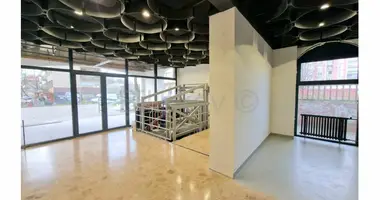 Entrepôt 555 m² dans Ville de Zagreb, Croatie