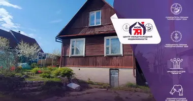 House in Piatryskauski sielski Saviet, Belarus