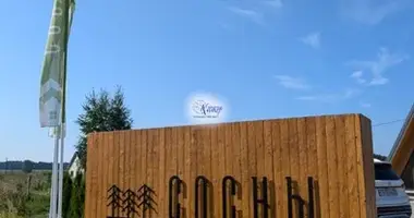 Plot of land in Bagrationovsky District, Russia