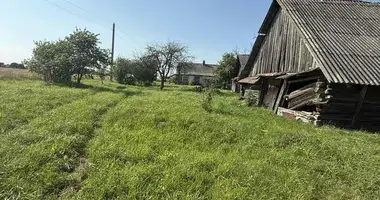 Haus in Dzitvianski sielski Saviet, Belarus