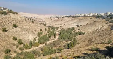Dúplex 6 habitaciones en Israel