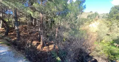 Grundstück in Orman Yolu, Türkei