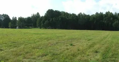 Plot of land in Laidzes pagasts, Latvia