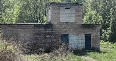 Commercial property 132 m² in Vitsebsk, Belarus