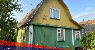 House in Lasanski sielski Saviet, Belarus