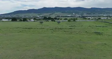 Plot of land in Tsilkani, Georgia
