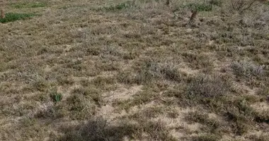 Участок земли в Мальдонадо, Уругвай