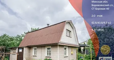 House in Baraulianski sielski Saviet, Belarus