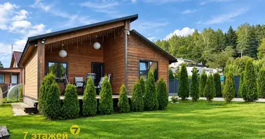 House in Papiarnianski sielski Saviet, Belarus