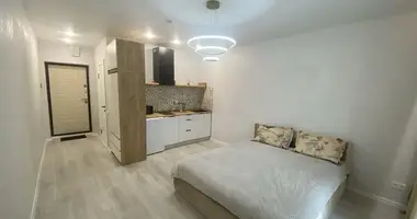 1 bedroom apartment in Minsk, Belarus