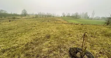 Участок земли в Даугай, Литва