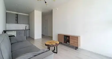 2 room apartment in Minsk, Belarus