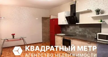 2 room apartment in Minsk, Belarus