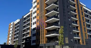 Wohnung 1 zimmer in Zmaj Jovina, Montenegro