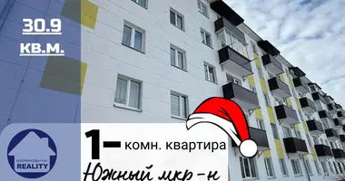 Apartamento 1 habitación en Baránavichi, Belarús