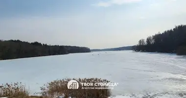 3 room house in Jzufouski sielski Saviet, Belarus