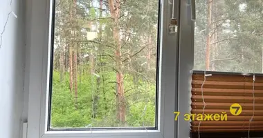 Wohnung in Minsk, Belarus