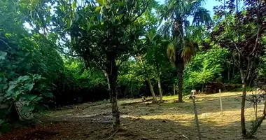 Grundstück in Kobuleti, Georgien