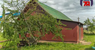 House in Valozynski sielski Saviet, Belarus