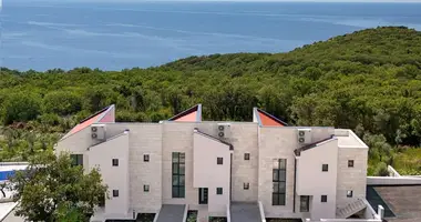 Maison 4 chambres dans Katun Rezevici, Monténégro
