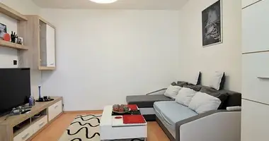 2 bedroom apartment in Chrlice, Czech Republic