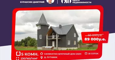 Cottage in Putniki, Belarus