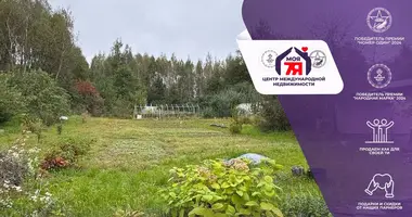 Casa en Aliachnovicki sielski Saviet, Belarús