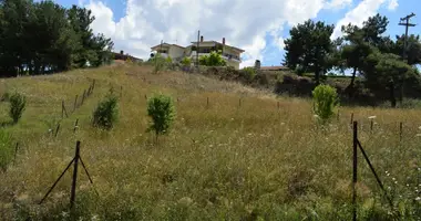 Участок земли в Агия Параскеви, Греция