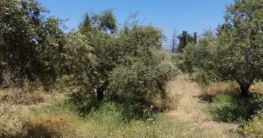 Участок земли в Каливе, Греция