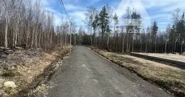 Участок земли в Раменский муниципальный округ, Россия