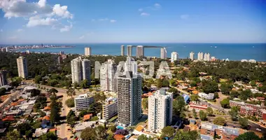 Apartment in Punta Del Este, Uruguay