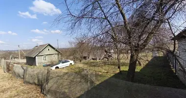 House in Sienicki sielski Saviet, Belarus