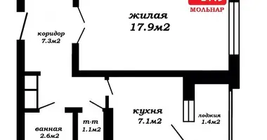 Apartamento 1 habitación en Minsk, Belarús