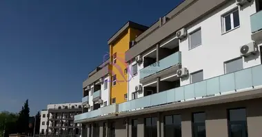 Apartamento 1 habitación en Podgorica, Montenegro
