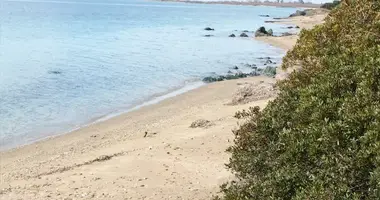 Terrain dans Vatopedi, Grèce