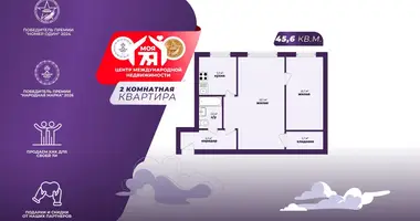 2 room apartment in Minsk, Belarus