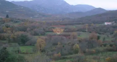 Gewerbefläche 200 m² in Montenegro