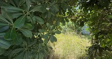 Grundstück in Donja Lastva, Montenegro