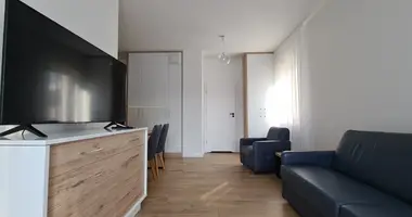 Studio apartment 1 bedroom in Warsaw, Poland